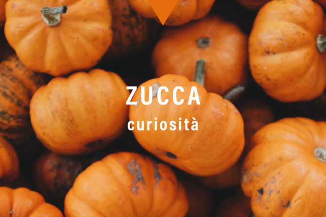 La zucca